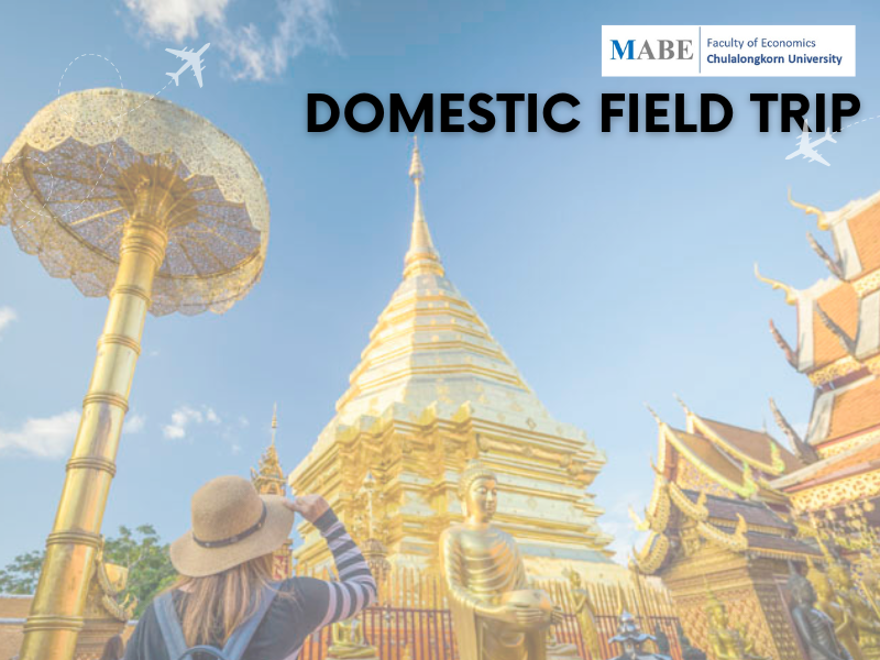 ค่าดูงานและปฏิบัติงานนอกสถานที่ (ในประเทศ)